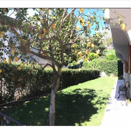 Villa Dei Fiori - Exclusive Villa With Garden In Sorrento Coast วีโกเอเกวนเซ ภายนอก รูปภาพ