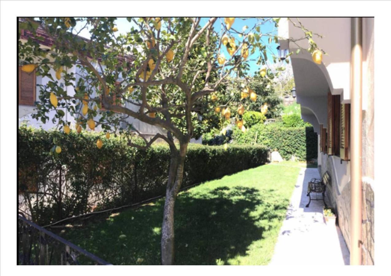 Villa Dei Fiori - Exclusive Villa With Garden In Sorrento Coast วีโกเอเกวนเซ ภายนอก รูปภาพ